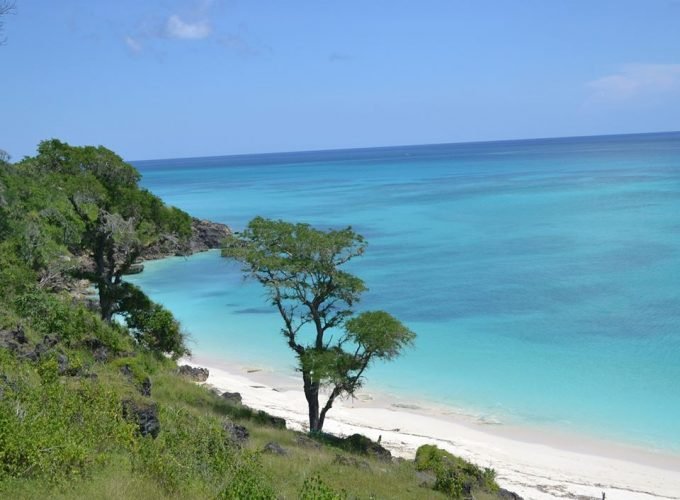 Just another WordPress site