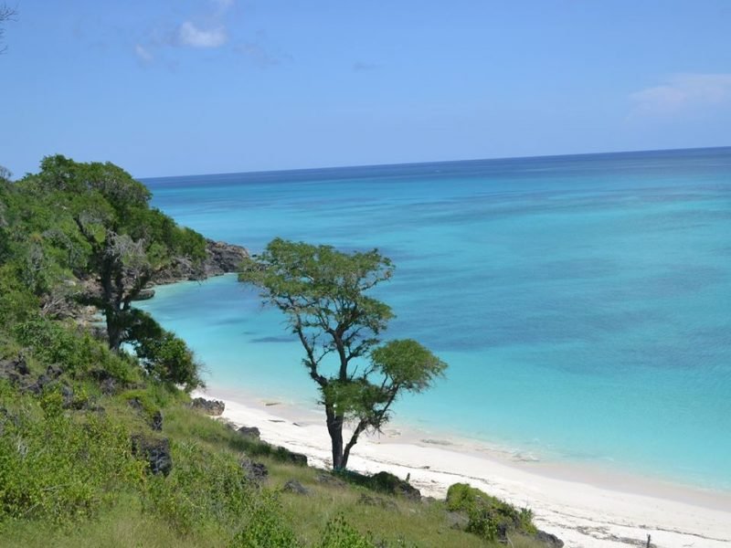 Just another WordPress site