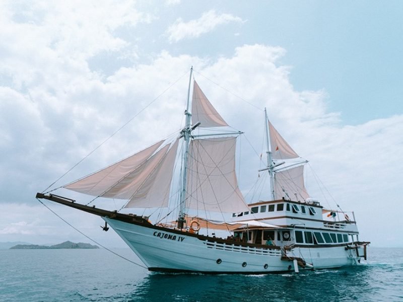 Just another WordPress site