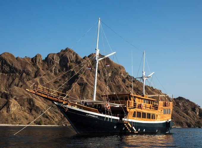 Just another WordPress site